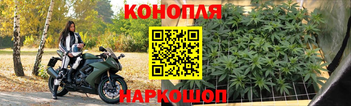 Конопля планчик  Вход с VPN  Магнитогорск  Бошки Шишки AK-47  Канабис VHQ  Шишки марихуана планчик 